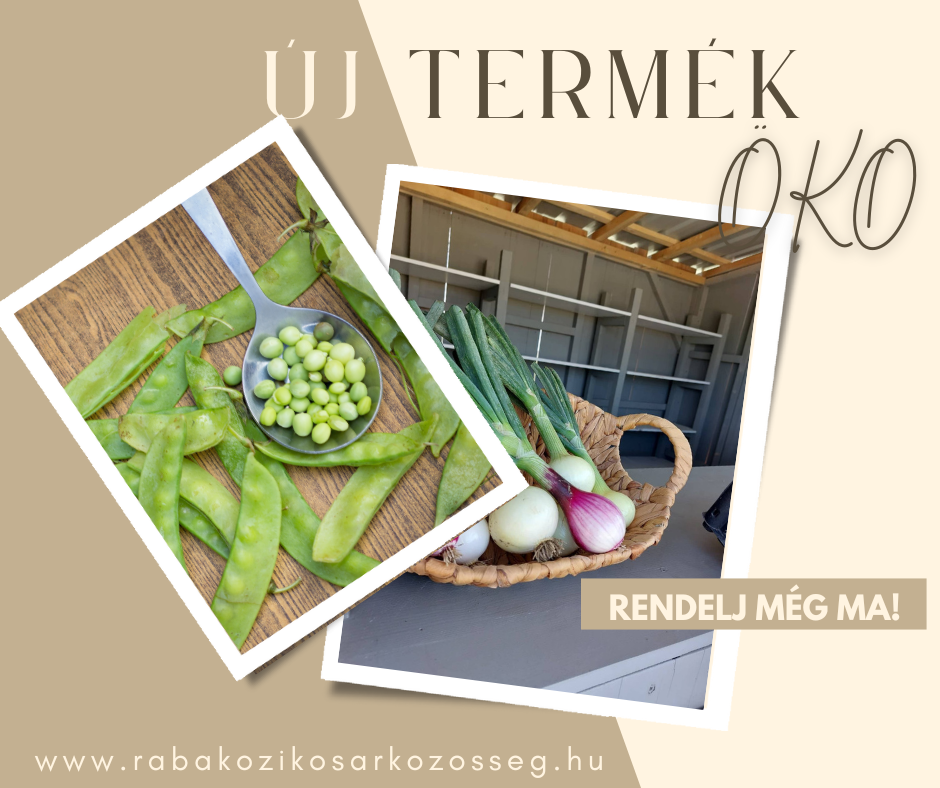 rendelés 2
